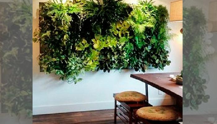 Wall-Mounted Plants for hanging up the home wall bring a sharp green look